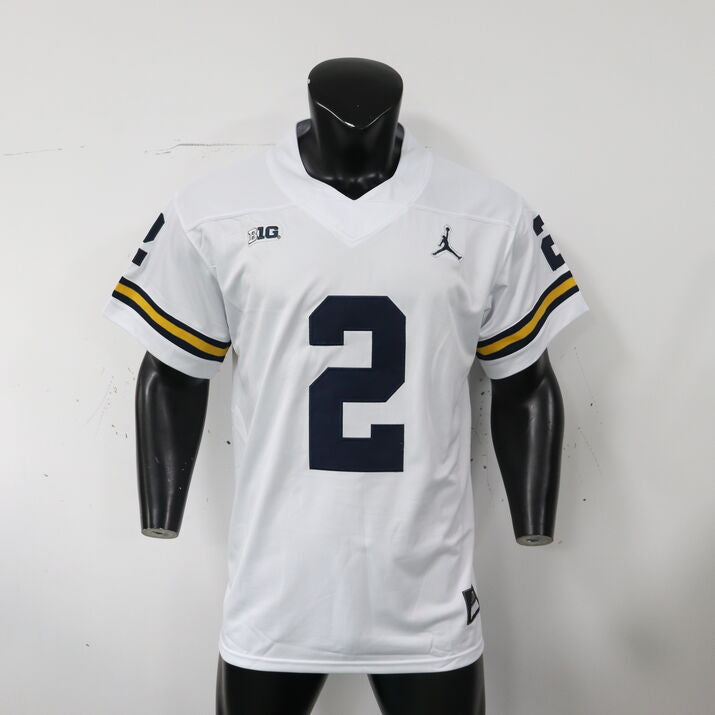 Men's #2 Blake Corum Alumni Michigan Wolverines Football Jersey
