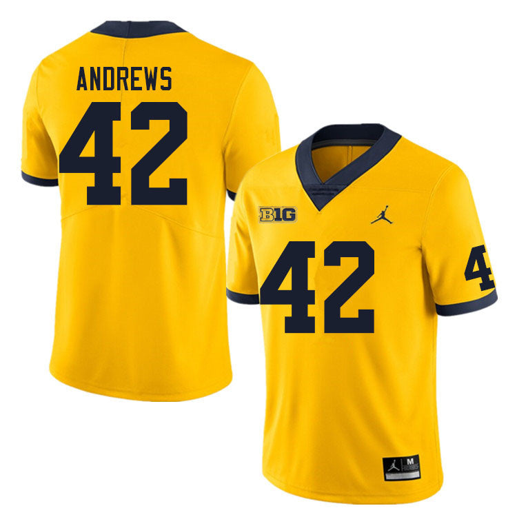 Men's #42 Trevor Andrews Michigan Wolverines College Football Jersey